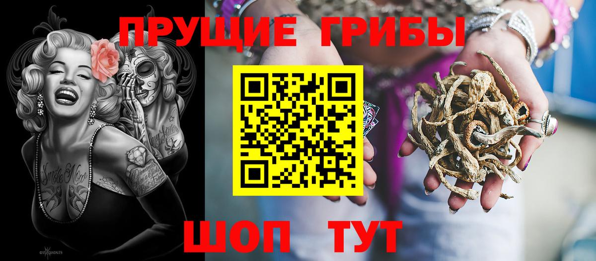 Сухой Лог  Псилоцибиновые грибы мицелий  Вход с VPN 